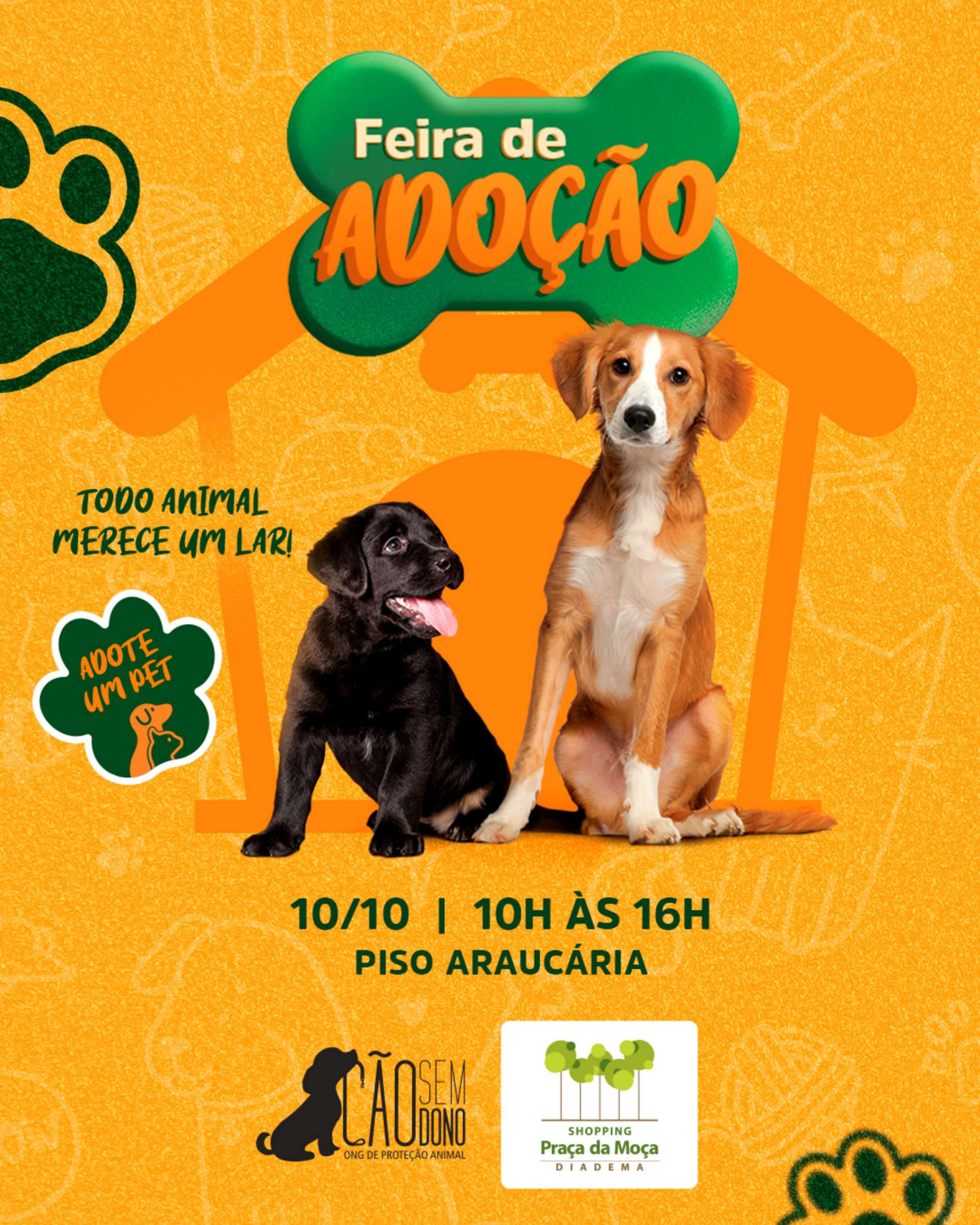 FEIRA DE ADOÇÃO - ONG CÃO SEM DONO no Shopping Praça da Moça